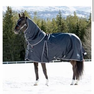 B Vertigo Georgina Medium weight turnout horse blanket with hood cover